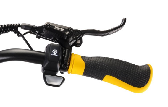 Teverun Blade Mini Super