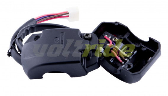 SXT Switch for light and horn