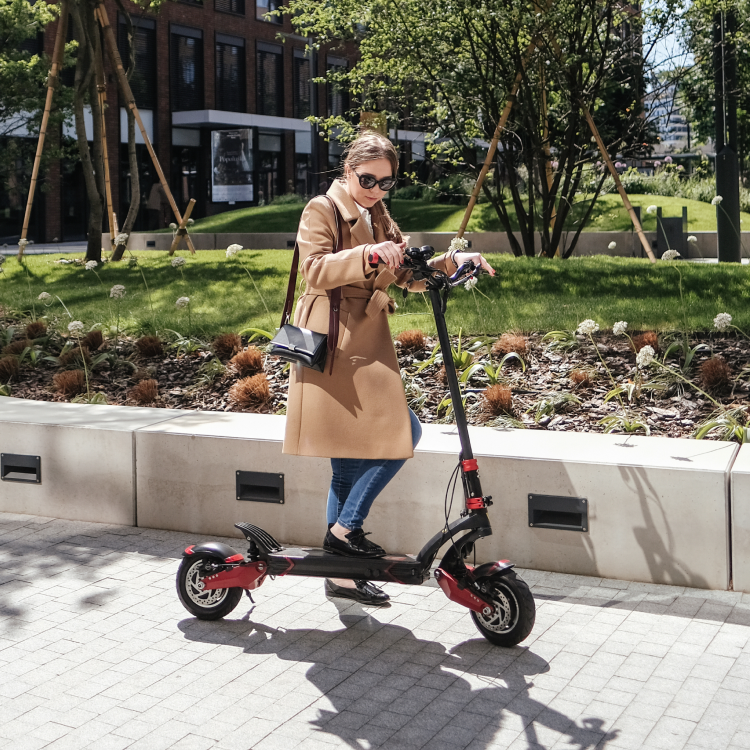 Handbuch des Scooterfahrers - Max Blinker - E-Scooter - Freude am Fahren